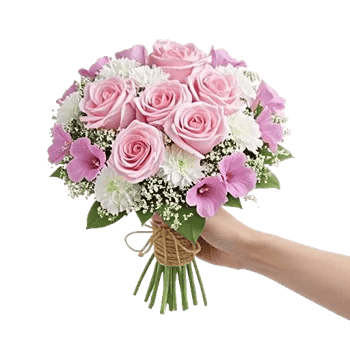 Pastel Pink Roses
