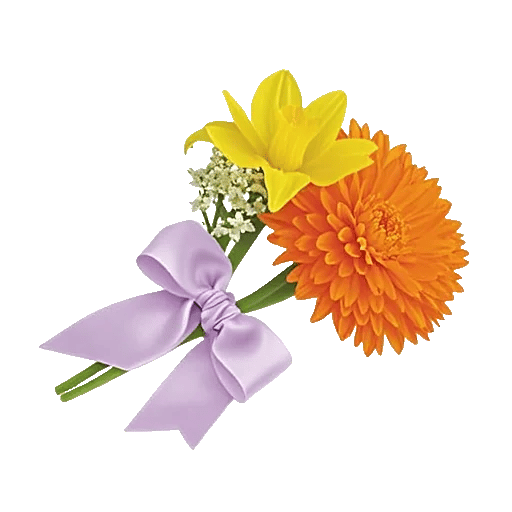 Blossom Harmony Display