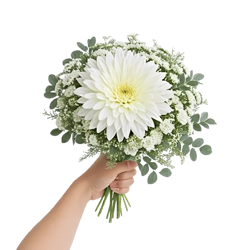 Minimalist White Orchids