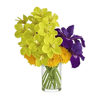 Orchid Bloom Cascade