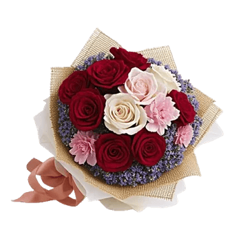 Blushing Rose Symphony