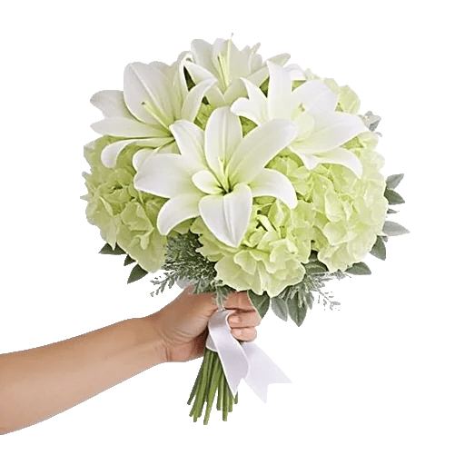 Ivory Blossom Radiance