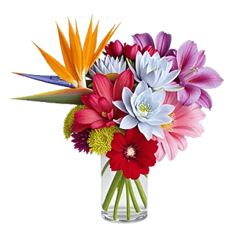 Petal Radiance Bliss