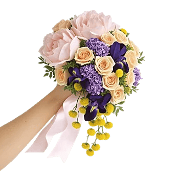 Delicate Petal Cascade