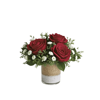 Crimson Rose Elegance