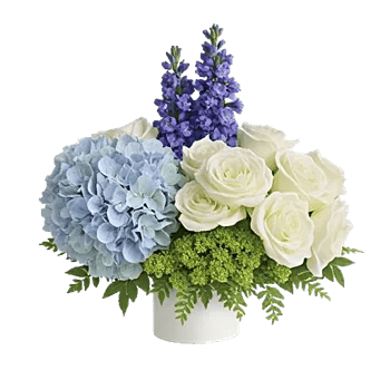 Sapphire Bloom Whisper