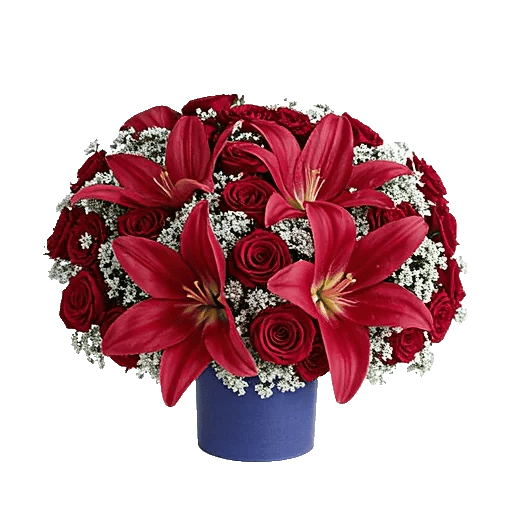 Crimson Lily Glow