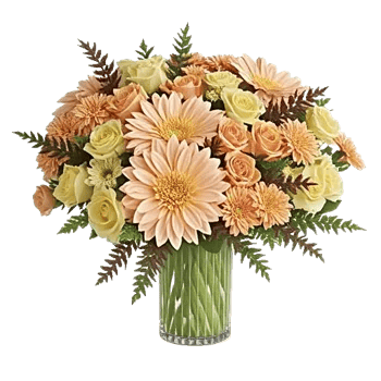 Petal Radiance Bliss