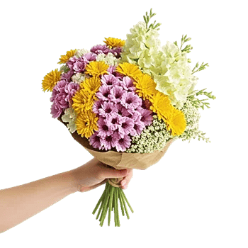 Petal Harmony Bliss
