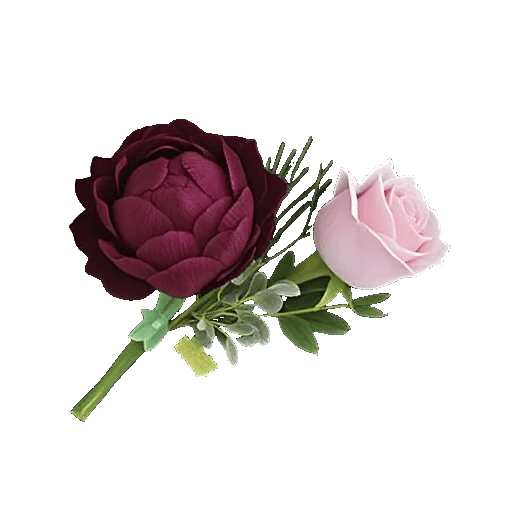 Plum Blossom Radiance