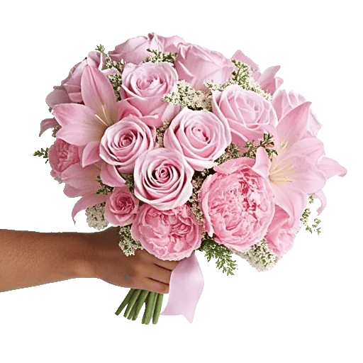 Pastel Pink Roses