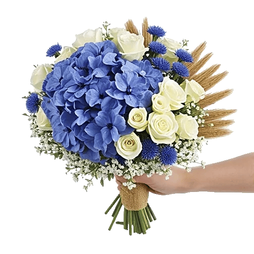 Serene Petal Harmony