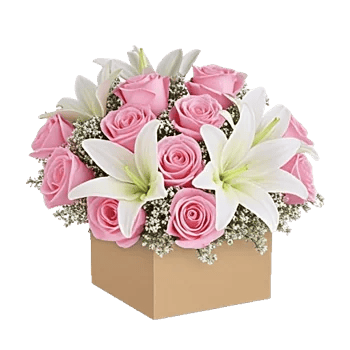 Blushing Rose Symphony