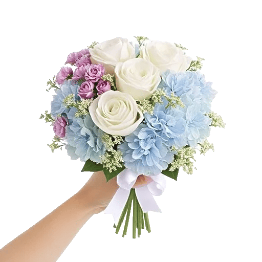 Serene Petal Harmony