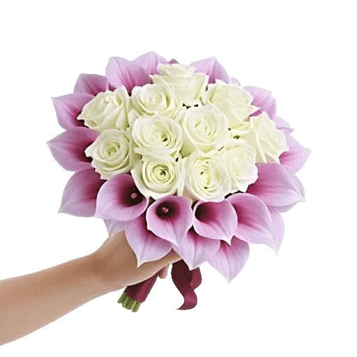 Elegant Calla Lilies