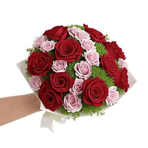 Crimson Rose Elegance