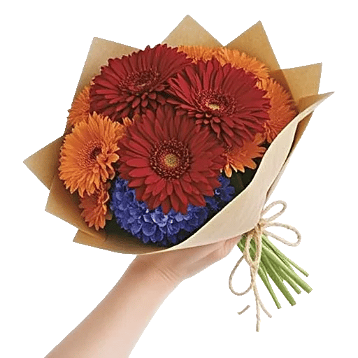 Crimson Rose Elegance