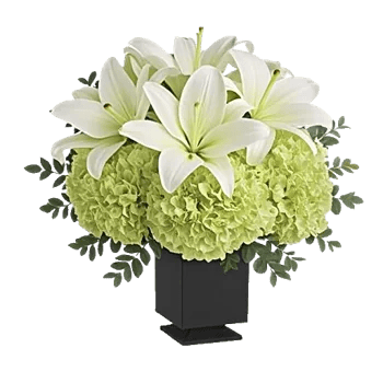 Ivory Blossom Radiance