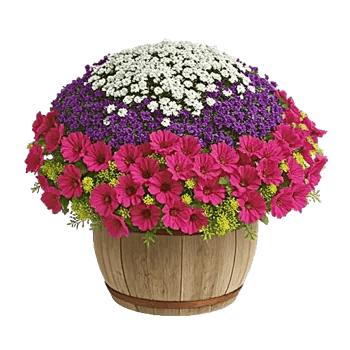 Petal Radiance Bliss