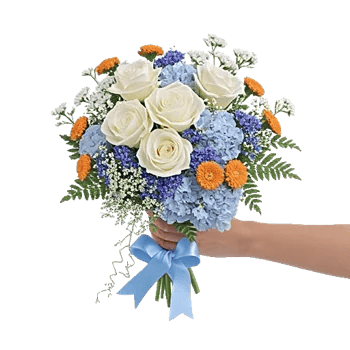 Serene Petal Harmony