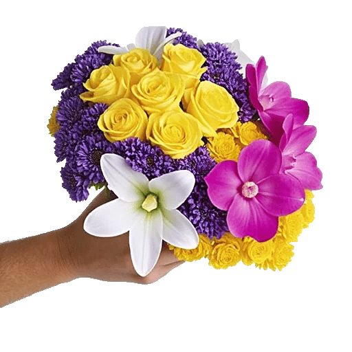 Blossom Harmony Display