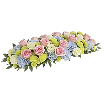 Delicate Petal Cascade