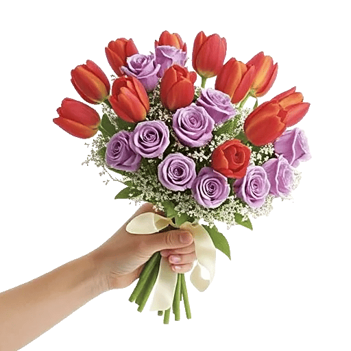 Velvet Tulip Display