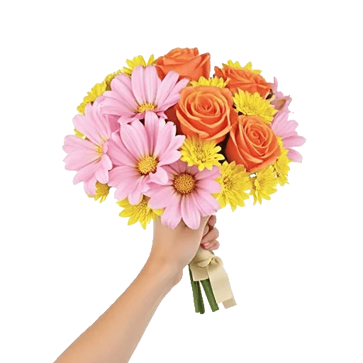 Blushing Rose Symphony