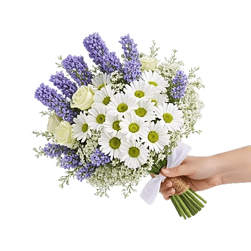 Rosemary Bloom Elegance