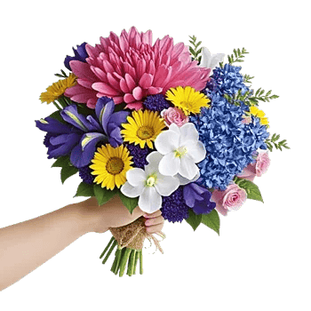 Blossom Petal Serenity