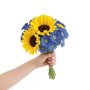Twinkling Sunflower Dance