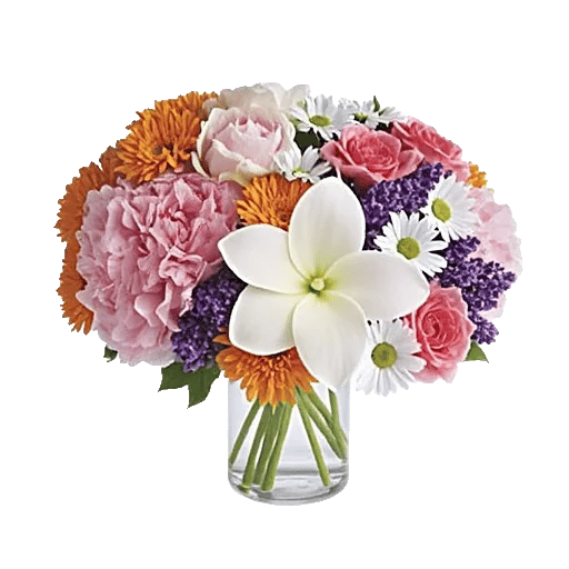 Petal Radiance Bliss