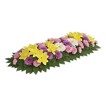 Delicate Petal Cascade