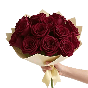 Crimson Rose Elegance