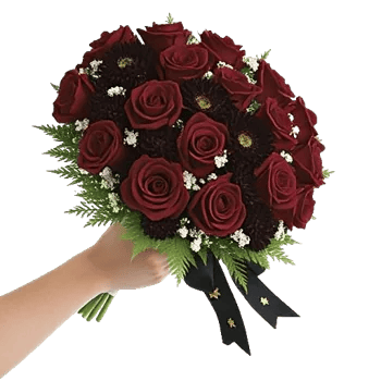 Blushing Rose Symphony
