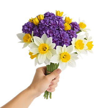 Velvet Tulip Display