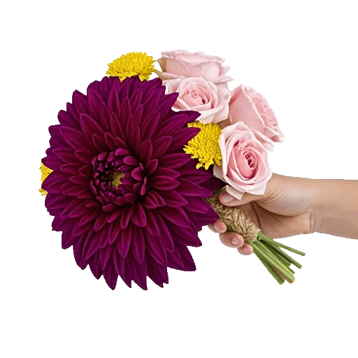 Radiant Bloom Cascade