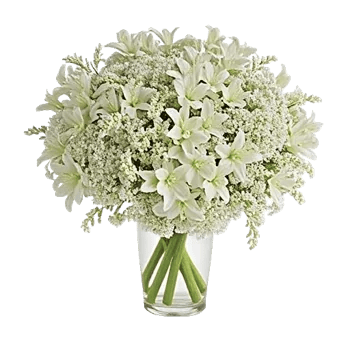 Graceful Lily Display