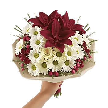 Blushing Rose Symphony