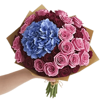 Serene Petal Harmony