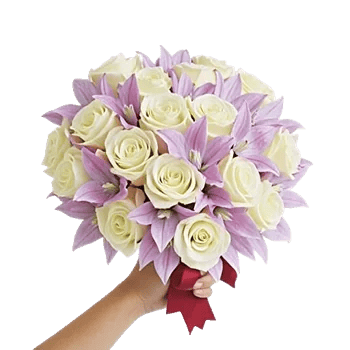 Blushing Rose Symphony