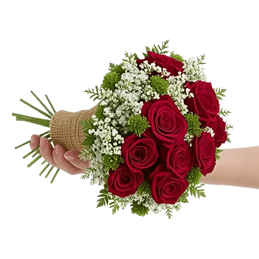 Crimson Rose Elegance