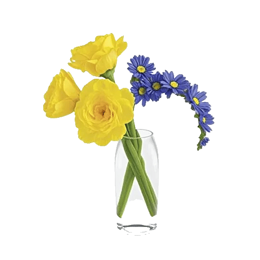 Petal Radiance Bliss