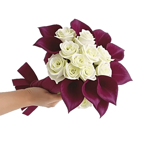 Elegant Calla Lilies