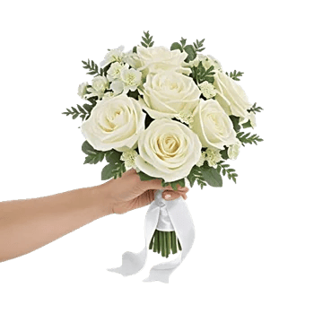 Ivory Garden Grace