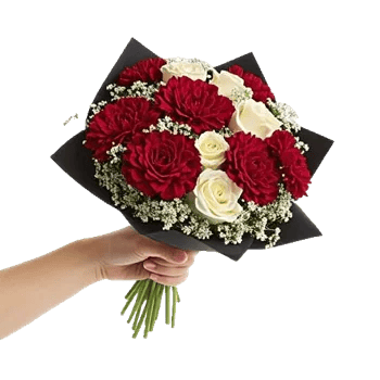 Crimson Rose Elegance