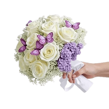 Blushing Rose Symphony