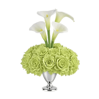 Elegant Calla Lilies