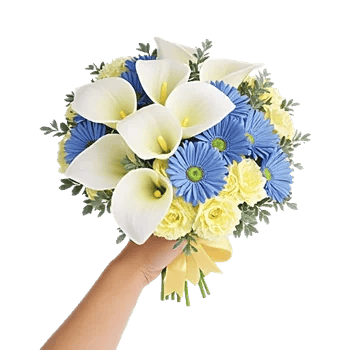 Elegant Calla Lilies