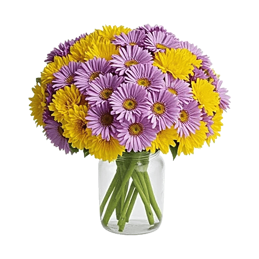 Petal Cascade Delight